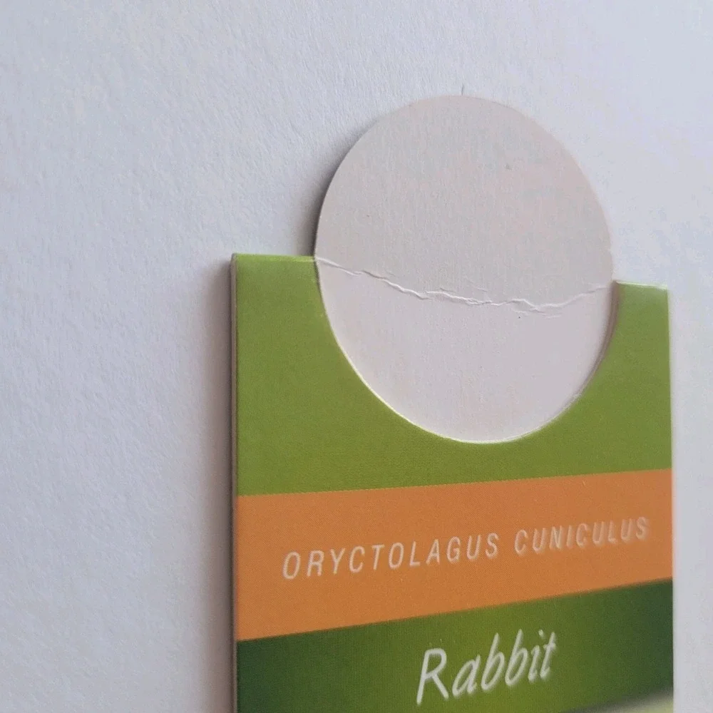Cardmarks Bunny Rabbit Wild Animals Magnetic Magnet UK Company If #2407, Y2k 00s